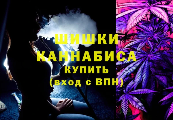 spice Козельск