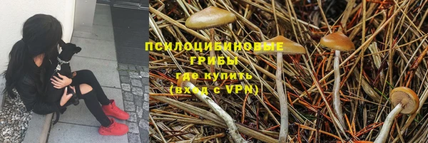 спиды Кодинск