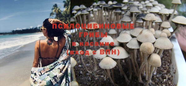 спиды Кодинск