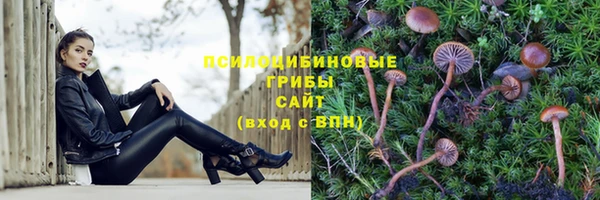 spice Козельск