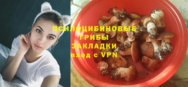 альфа пвп Козловка