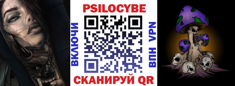 Купить  Жиздра  Псилоцибиновые грибы Psilocybine cubensis 