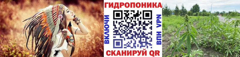 Бошки марихуана конопля  Купить закладки  Жиздра 